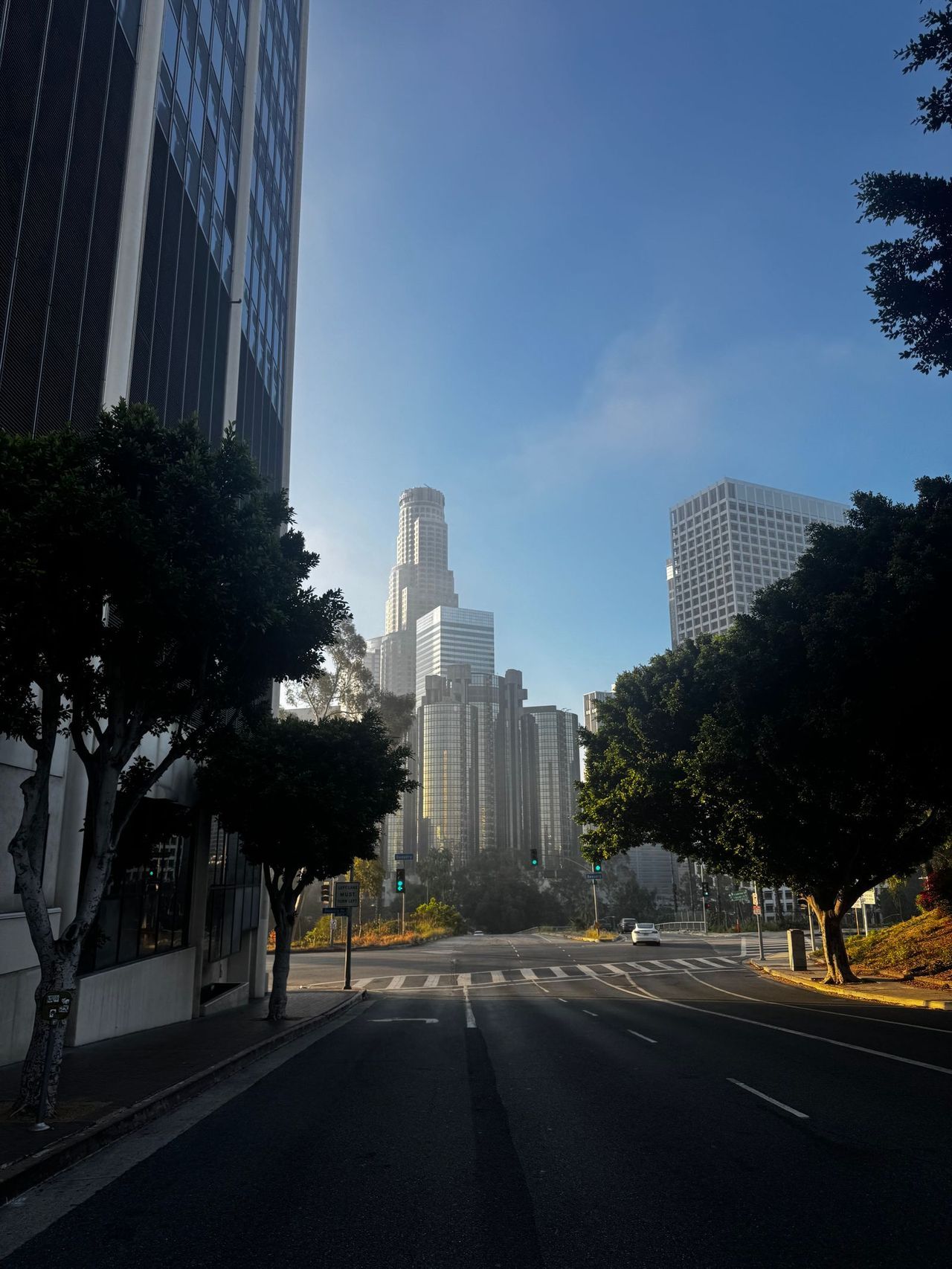 Downtown Los Angeles skyline in morning mist — home of Velocity Forged since 2012